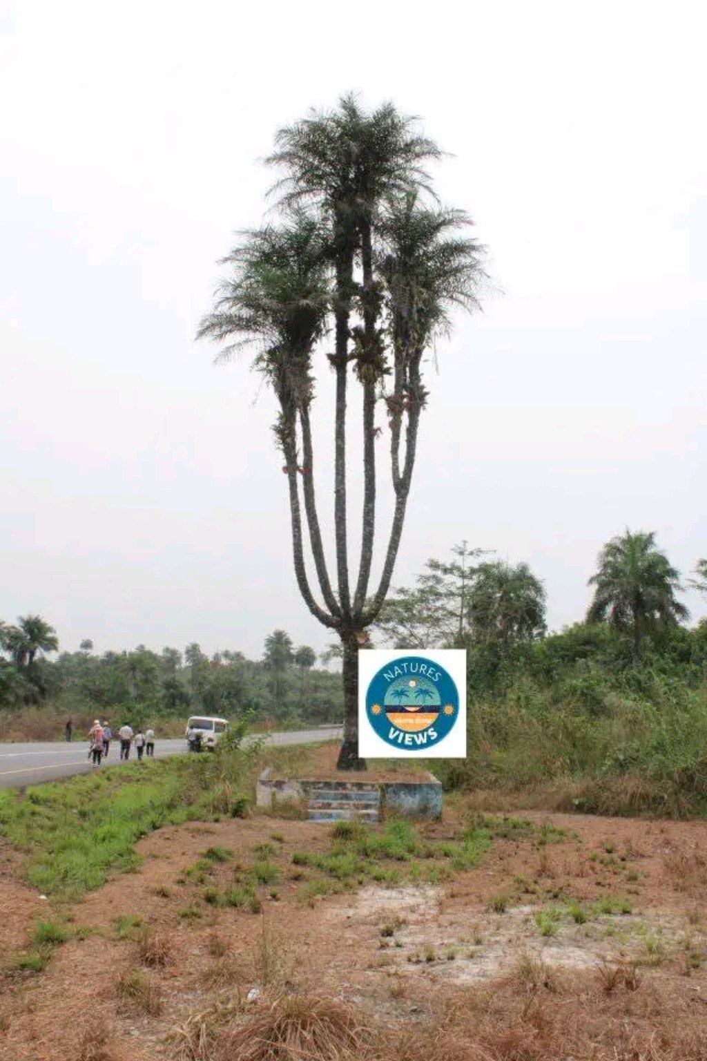 Sierra Leone landscape